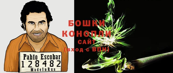 дживик Гусь-Хрустальный