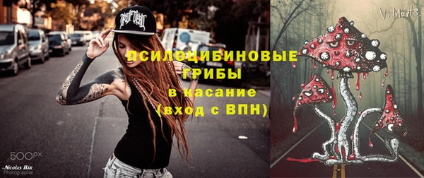 бутират Гусев